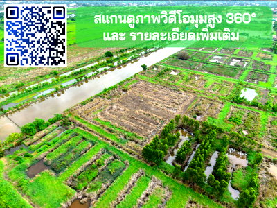 ที่ดิน นิคมอุตสาหกรรมบางปู : ขายที่ดินบางพลี ใกล้Siam Premium Outlets เพียง 3 กม. (ซอยติดกับตลาดเทิดไท-สี่แยกลำต้อยติ่ง)