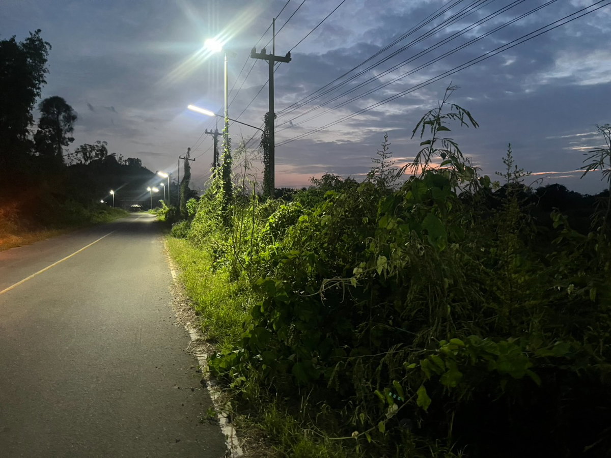 รูป ขายที่ดิน 107 ตารางวา โฉนดครุฑแดง ต.พรหมณี ติดถนนหลวง วิวเขาชัด - รูปที่ 4/21