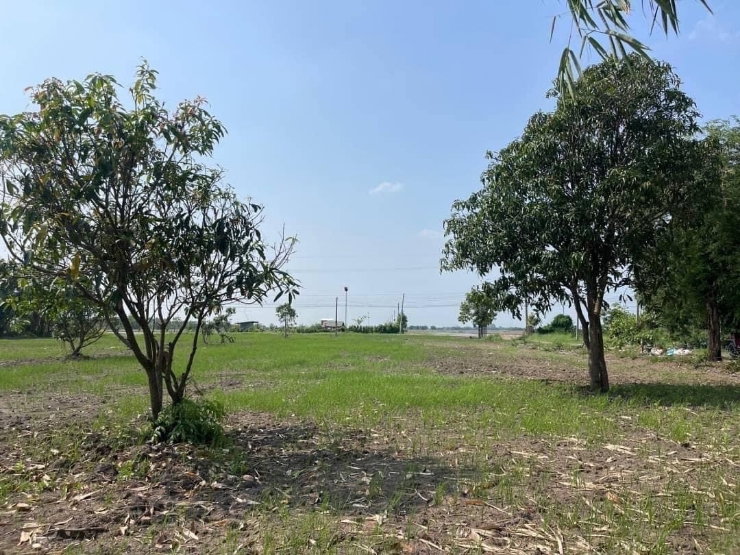 รูป ที่ดินองครักษ์ หน้าแปลงติดถนน ท้ายแปลงติดคลอง เหมาะทำธุรกิจ บ้านสวน - รูปที่ 9/9