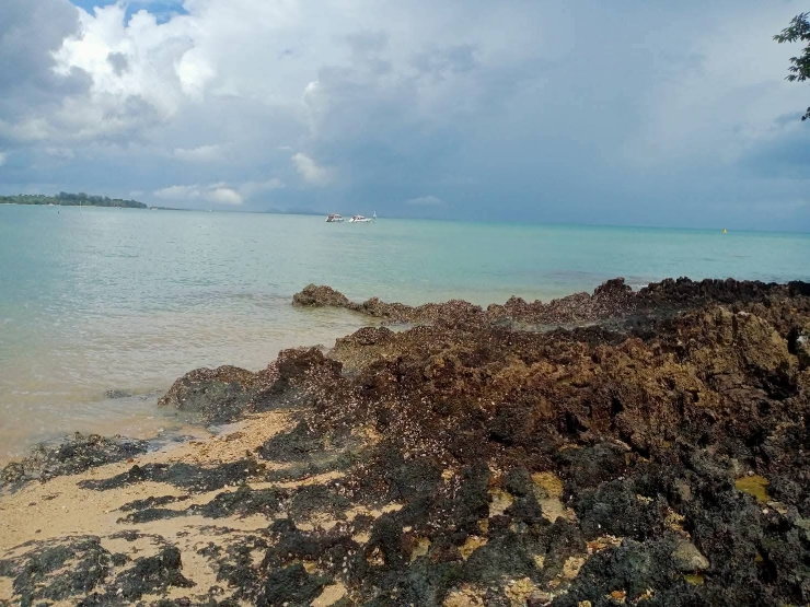 picture land for sale krabi beach thailand 40 rai - 4/8
