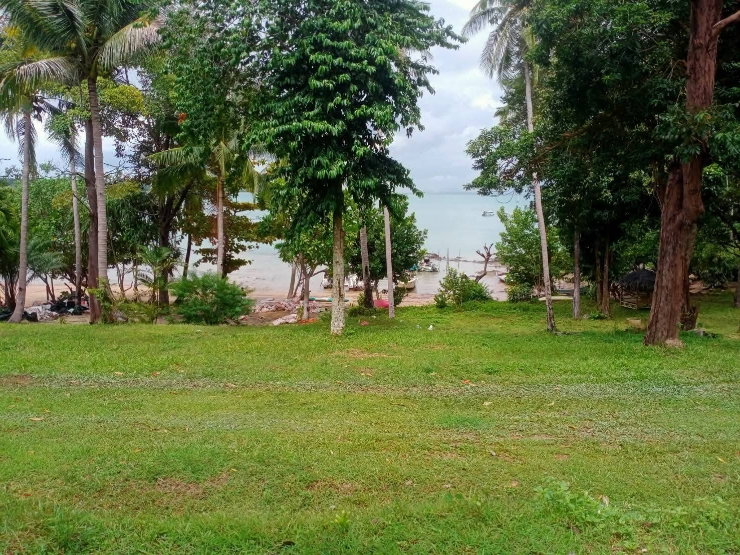 picture land for sale krabi beach thailand 40 rai - 6/8