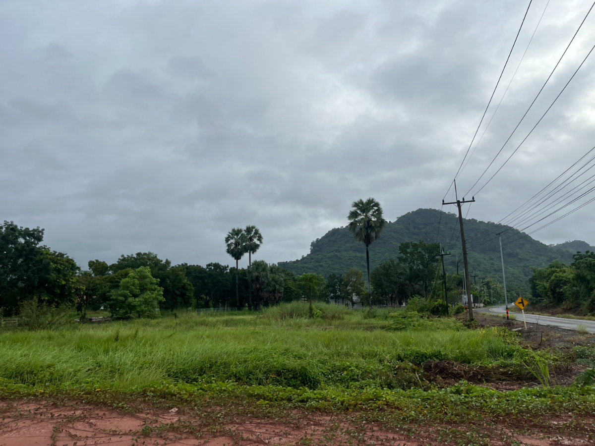 รูป ขายที่ดิน 107 ตารางวา โฉนดครุฑแดง ต.พรหมณี ติดถนนหลวง วิวเขาชัด - รูปที่ 18/21