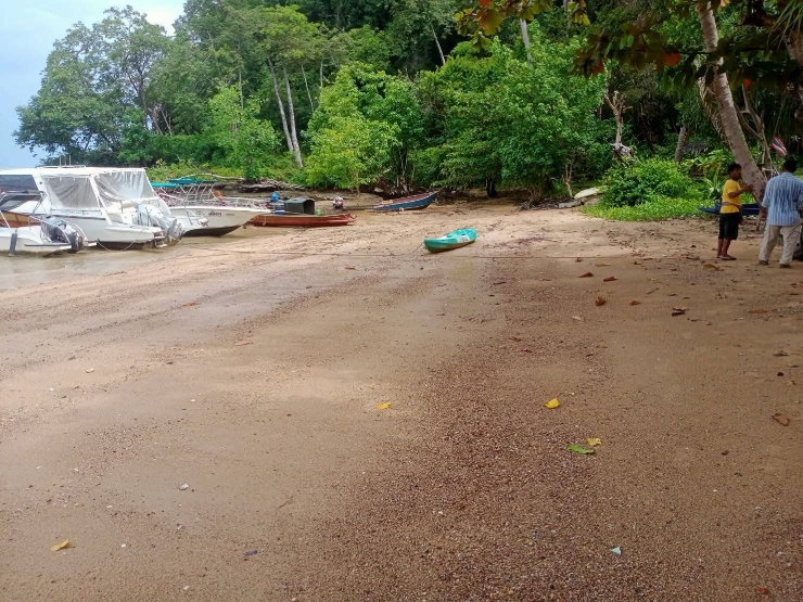 picture land for sale krabi beach thailand 40 rai - 5/8