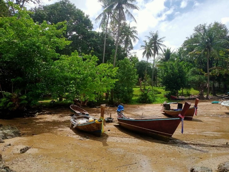 picture land for sale krabi beach thailand 40 rai - 2/8