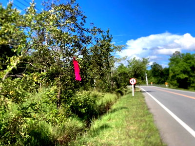 ที่ดิน เชียงใหม่ : ขายที่ดินราคาถูกติดถนนหลวง ต.บ้านตาล อ.ฮอด จ.เชียงใหม่