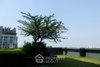 listing thumbnail image 57