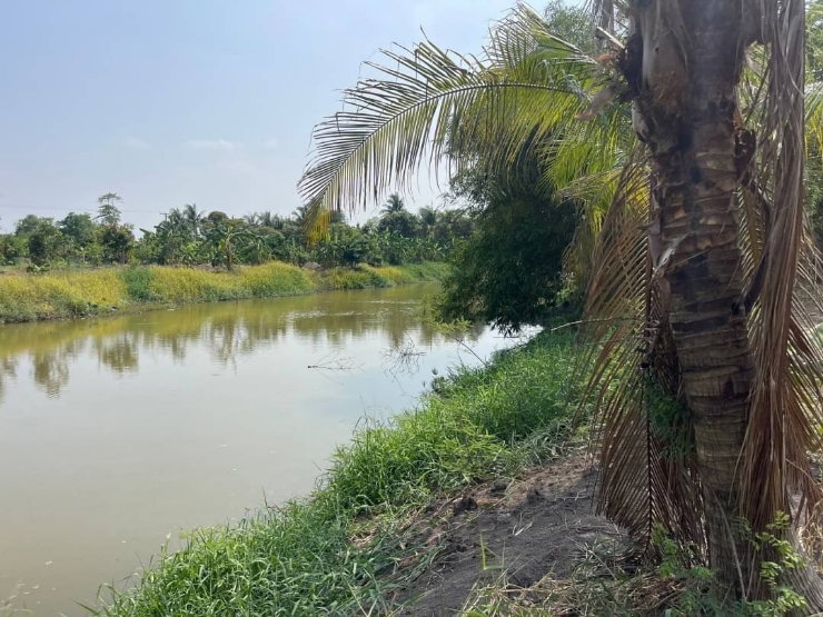 รูป ที่ดินองครักษ์ หน้าแปลงติดถนน ท้ายแปลงติดคลอง เหมาะทำธุรกิจ บ้านสวน - รูปที่ 7/9