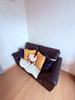 listing thumbnail image 3
