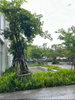listing thumbnail image 14