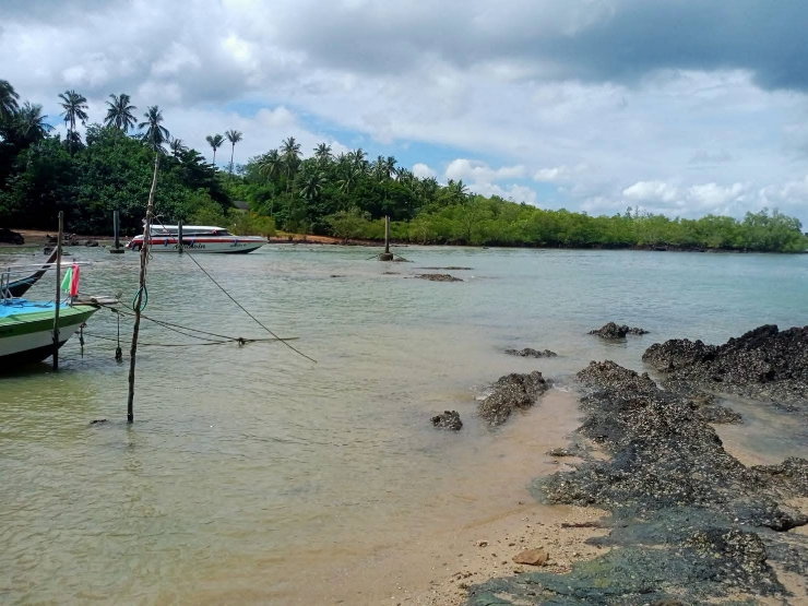 picture land for sale krabi beach thailand 40 rai - 3/8