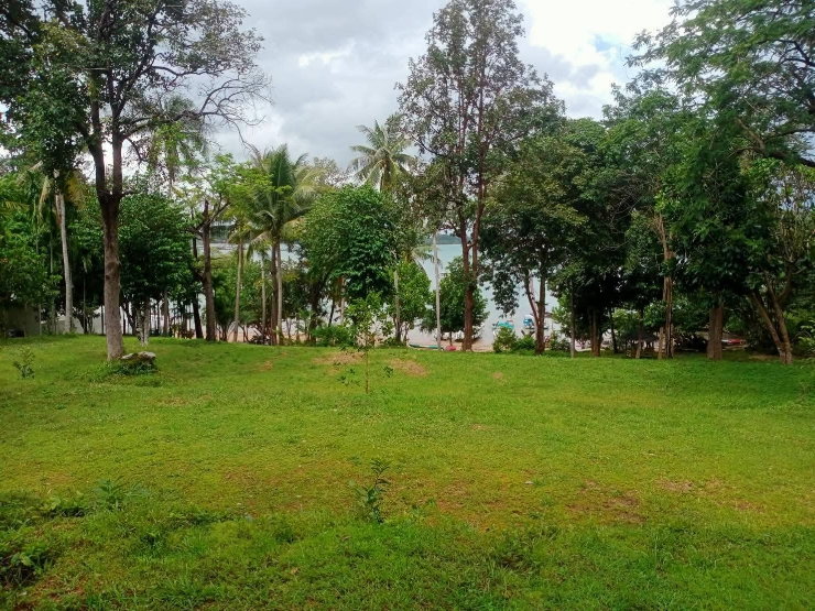 picture land for sale krabi beach thailand 40 rai - 8/8