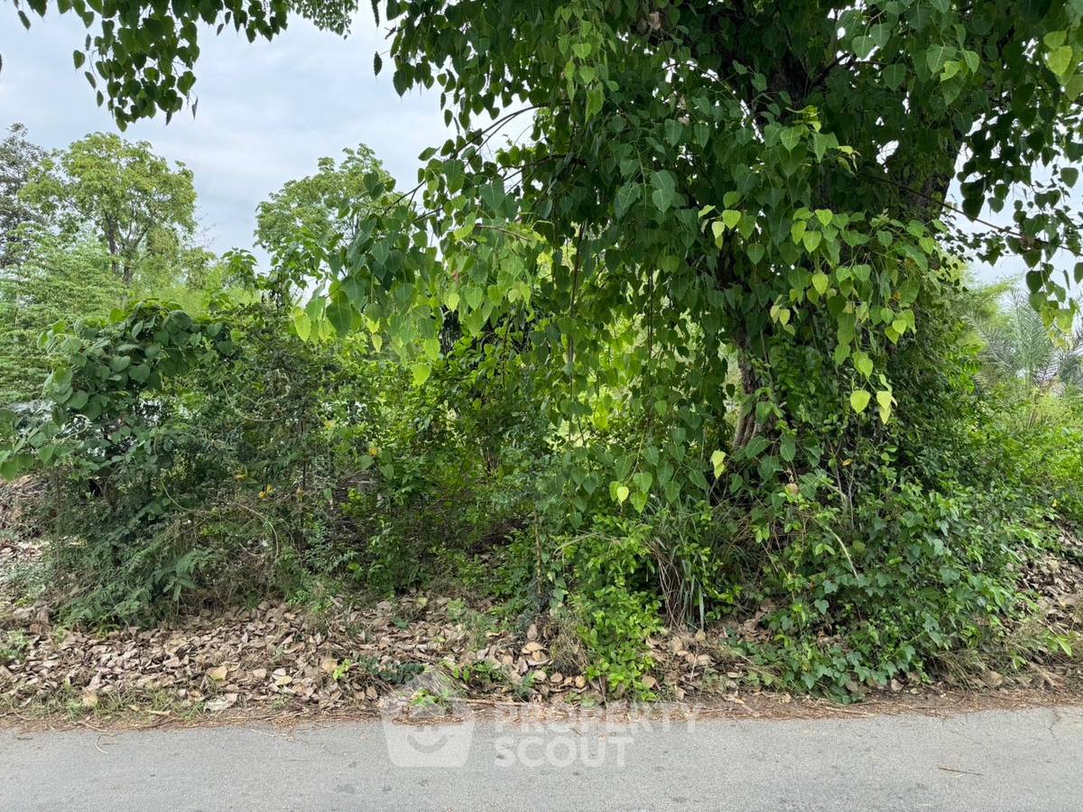 รูป ขายที่ดิน ตำบลมะขุนหวาน อำเภอสันป่าตอง เชียงใหม่ (ID 3243994) - รูปที่ 3/5