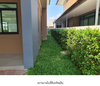 listing thumbnail image 38