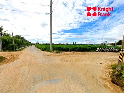 ที่ดิน ชลบุรี : ขายที่ดิน 77 ไร่ ตรงข้ามนิคมปิ่นทอง 4 จังหวัดชลบุรี