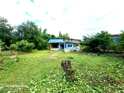 Houses for sale Chainat : HOME 100 Sq.w. Noen Kham Chainat for 708,000