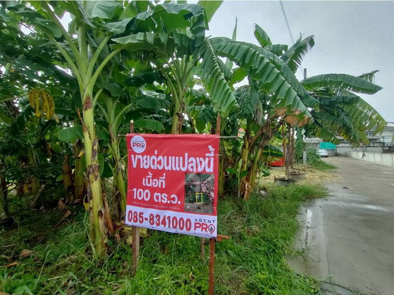 รูป ✨✨✨(ขาย) ที่ดินเปล่า ถมแล้ว 100 ตรว. 📍 ซอยงบประมาณ 17, ถ.ติวานนท์–ปากเกร็ด 34 - รูปที่ 2/13