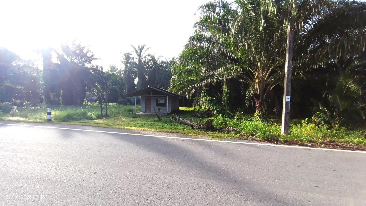 picture HOME 149.3 Sq.w. Plai Phraya Krabi for 908,000 - 28/33
