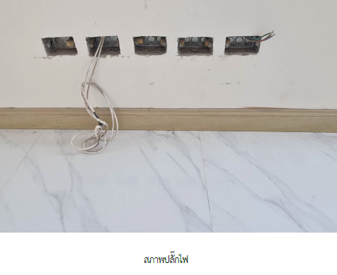 รูป บ้านเดี่ยว 323.5 ตร.วา โครงการ อารีนา การ์เด้น บางนา-สุวรรณภูมิ สมุทรปราการ บางพลี สมุทรปราการ 48.8M - รูปที่ 78/101