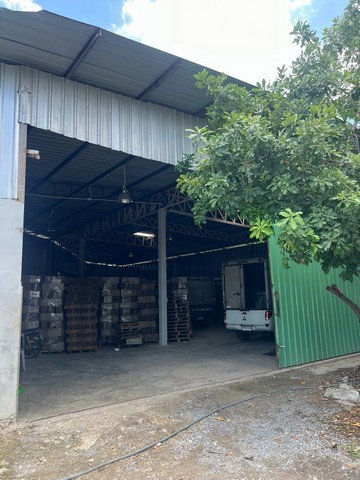 picture 			WF0744 Warehouse For Rent   Phutthamonthon Sai 2 Bangkok           - 3/8