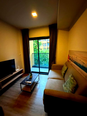 คอนโดให้เช่า : เช่าคอนโด The Base Sukhumvit 50/เดอะ เบส สุขุมวิท 50 (J6908022)