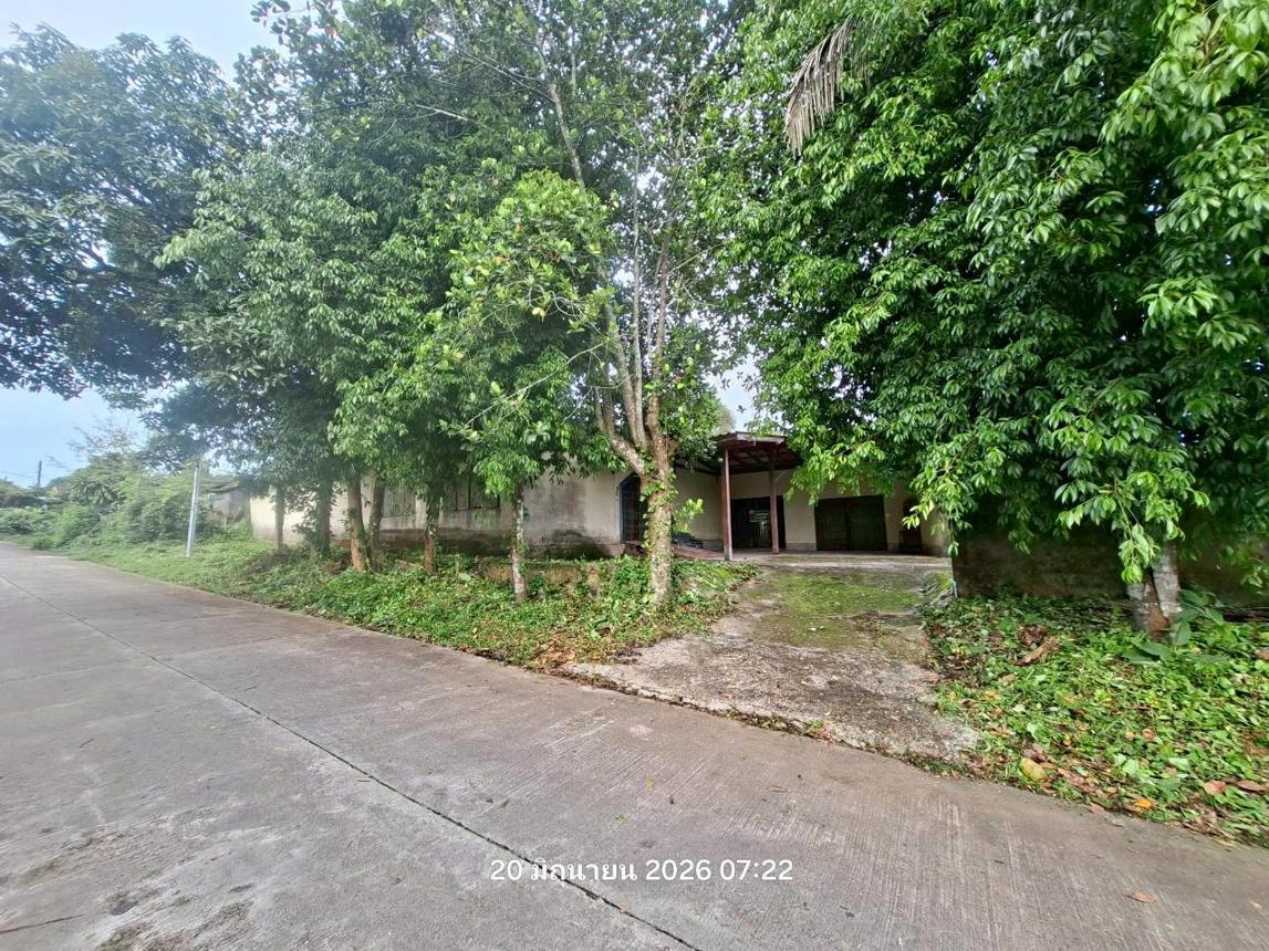 picture HOME 142 Sq.w. Bo Rai Trat for 872,000 - 15/29