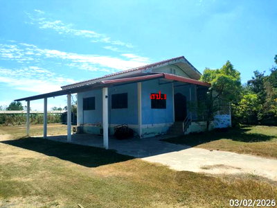 ขายบ้านเดี่ยว : บ้านเดี่ยว 3843 ตร.วา สุวรรณภูมิ ร้อยเอ็ด 3.6M