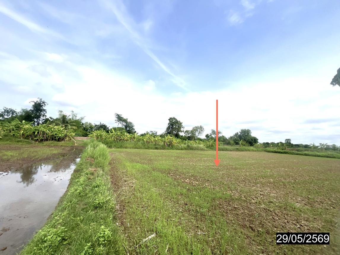 รูป ที่ดินว่างเปล่า 6167 ตร.วา มัญจาคีรี ขอนแก่น 1.2M - รูปที่ 10/15