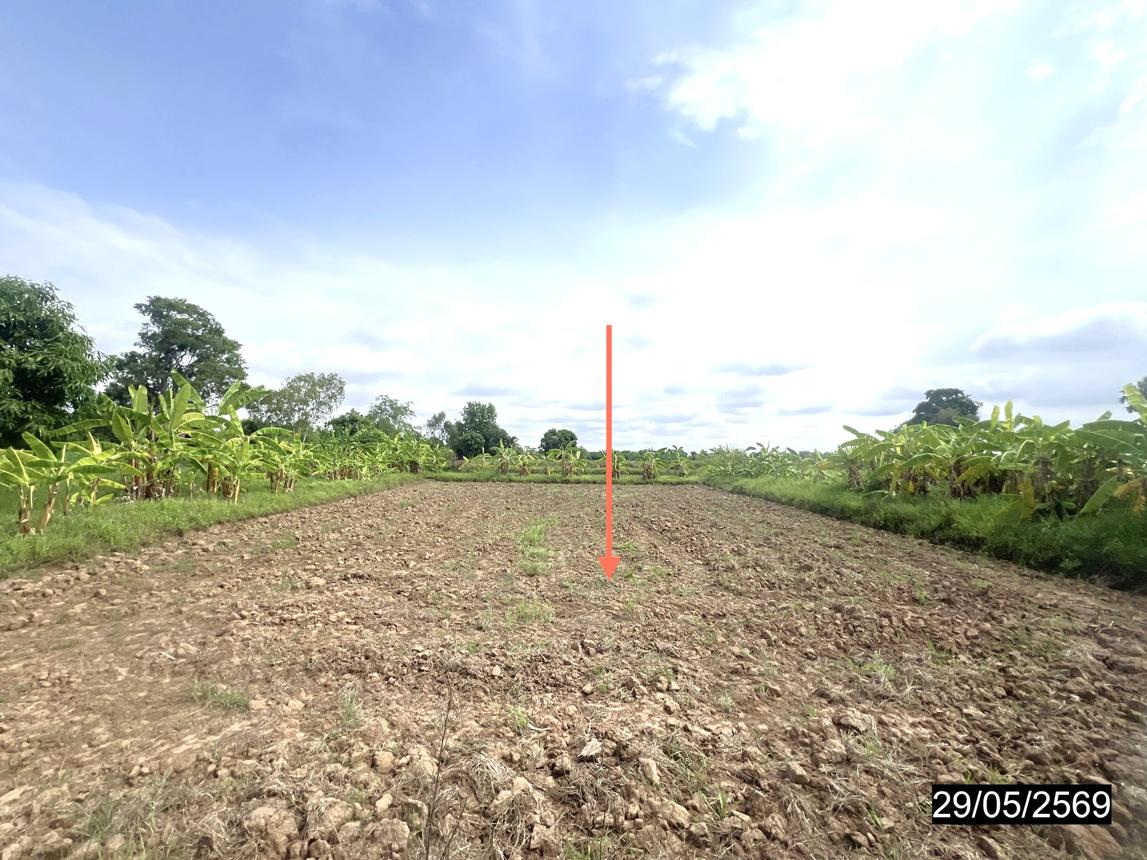 รูป ที่ดินว่างเปล่า 6167 ตร.วา มัญจาคีรี ขอนแก่น 1.2M - รูปที่ 9/15