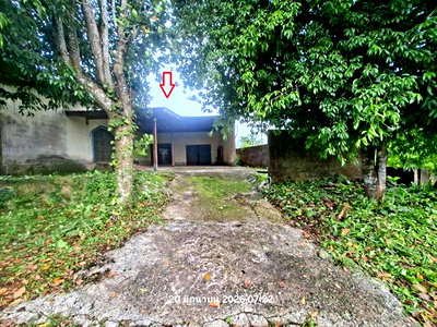 Houses for sale Bo Rai Trat : HOME 142 Sq.w. Bo Rai Trat for 872,000