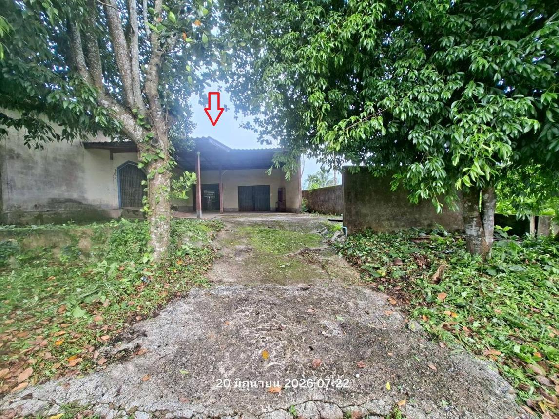 picture HOME 142 Sq.w. Bo Rai Trat for 872,000 - 14/29