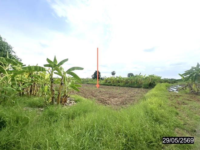 รูป ที่ดินว่างเปล่า 6167 ตร.วา มัญจาคีรี ขอนแก่น 1.2M - รูปที่ 6/15