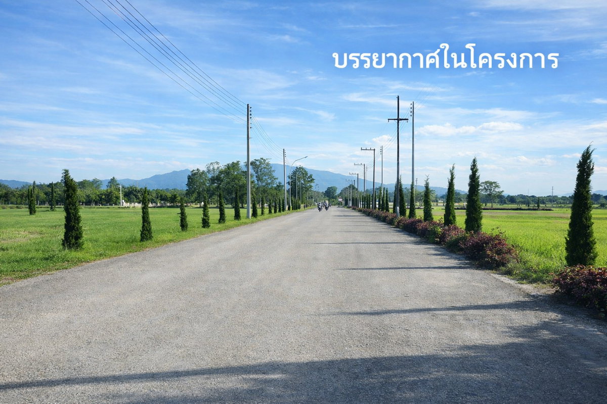 รูป ขาย ที่ดิน ในโครงการ The Nature Home Chiangmai 177 ตรว. โอกาสสำหรับผู้ที่กำลังมองหาที่ดินสร้างบ้านในฝัน ท่ามกลางบรรยากาศธรรมชาติ ในชุมชนคุณภาพ อ.หางดง - รูปที่ 6/15