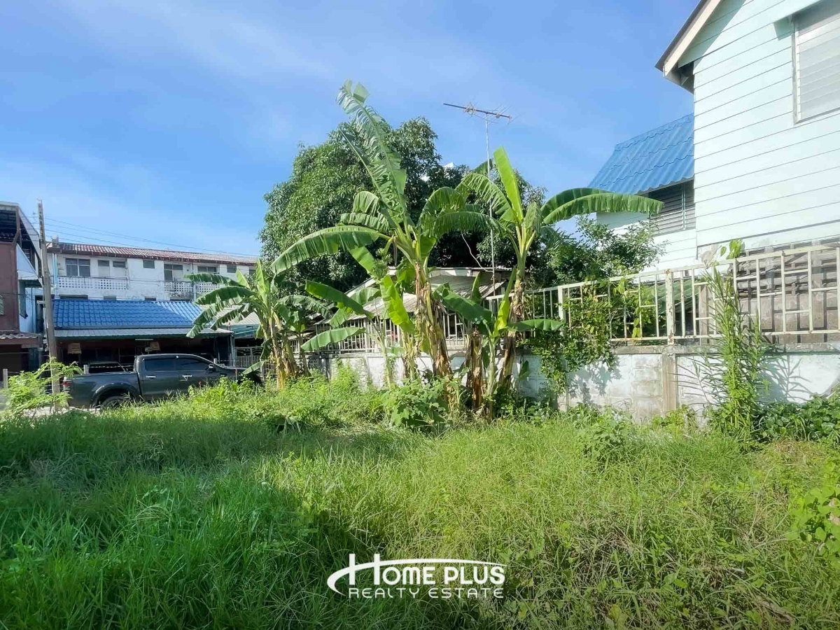 รูป 🌳 ขายที่ดิน 74 ตารางวา ซอยเคหะร่มเกล้า โซน 1 ซอย 3 ใกล้ตลาดบวรร่มเกล้า ลาดกระบัง - รูปที่ 9/11