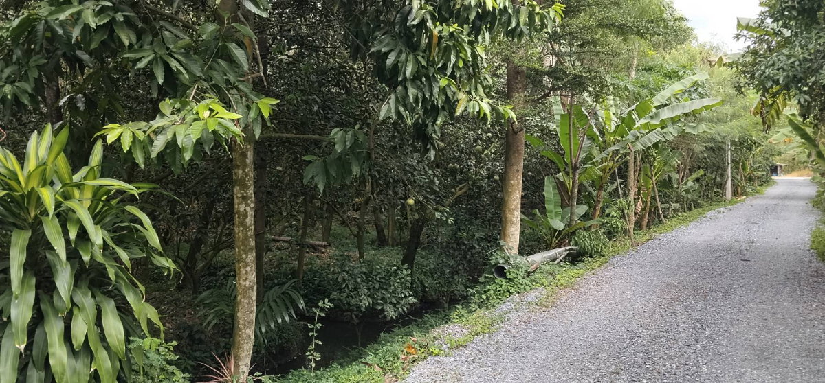 picture Land for Sale in Nakhon Pathom – Canal & Public Road Frontage - 6/6