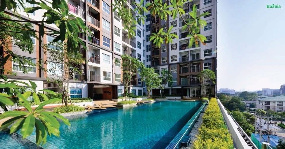 รูป ให้เช่า The Trust งามวงศ์วาน 🏡 8,000 พร้อมอยู่ ‼️ #ตอบแชทไว🔥🔥 รหัส M2372 - รูปที่ 8/10