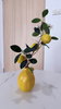listing thumbnail image 12
