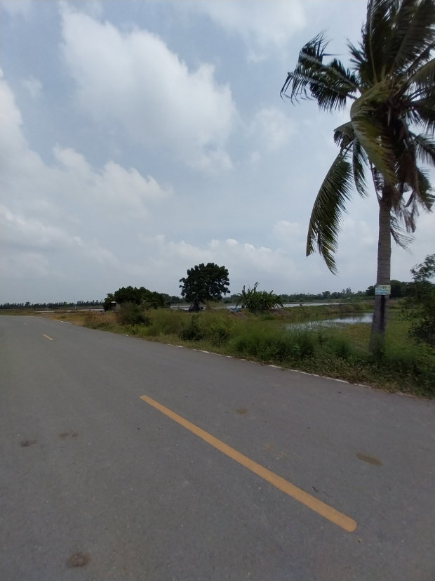 รูป #ขายที่ดิน #ขายที่ดินดอนตูม #ขายที่ดินนครปฐม - รูปที่ 2/7