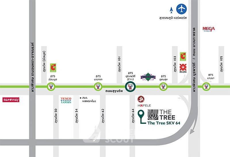 รูป คอนโด 1 ห้องนอน ขนาด 42 ตร.ม. The Tree Sukhumvit 64 ใกล้ BTS ปุณณวิถี 300 ม. (ID 3246608) - รูปที่ 15/15