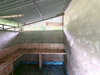 listing thumbnail image 39