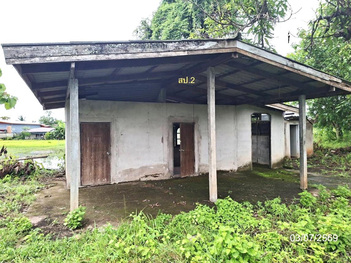 รูป บ้านเดี่ยว 800 ตร.วา เรณูนคร นครพนม 5.2M - รูปที่ 40/45