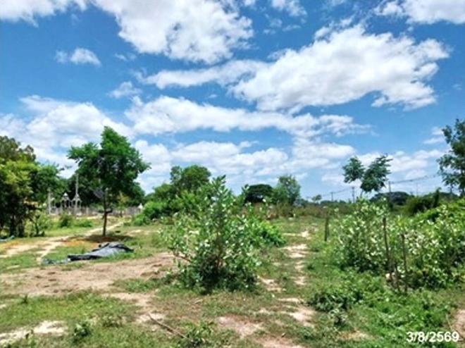 picture LAND 2397 Sq.w. Cha-Am Petchburi for 47.9M - 9/25