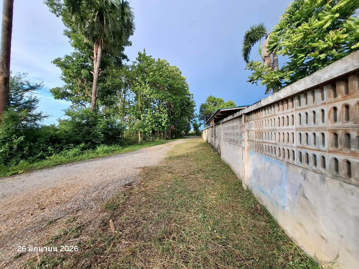 picture HOME 1587 Sq.w. Kamphaeng Saen Nakhon Pathom for 9.1M - 61/65