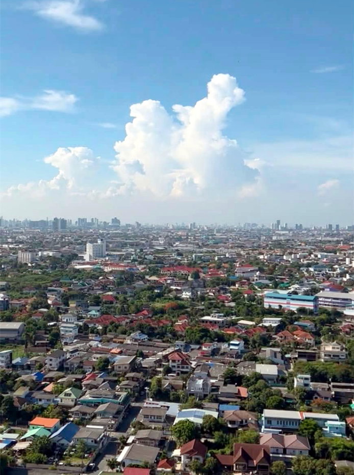 รูป เช่า!!! ดิ ออริจิ้น สุขุมวิท-แพรกษา (ห้องใหม่!!! แต่งครบ) ชั้น33 วิวสวยสุดๆๆ - รูปที่ 11/11