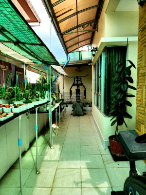 Houses for sale Rattanathibet Road : For Sale House , The Privacy Prime Place 1 , MRT-Sam Yaek Bang Yai , Bang Rak Phatthana , Bang Bua Thong , Nonthaburi , CX-172336 ✅ Live chat with us ADD LINE @connexproperty ✅