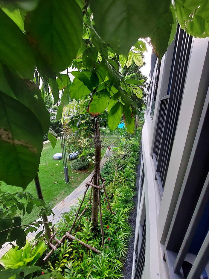 รูป เช่าคอนโด  ดีคอนโด รีฟ ภูเก็ต กะทู้ กะทู้ ภูเก็ต CX-171829 ✅ ทักไลน์ @connexproperty ตอบทันที ทีมงานมืออาชีพ ✅ - รูปที่ 11/11