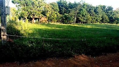 Land for sale : **Land for sale in a prime location, Nong Sawang Subdistrict, Lom Sak District, Phetchabun Province.**