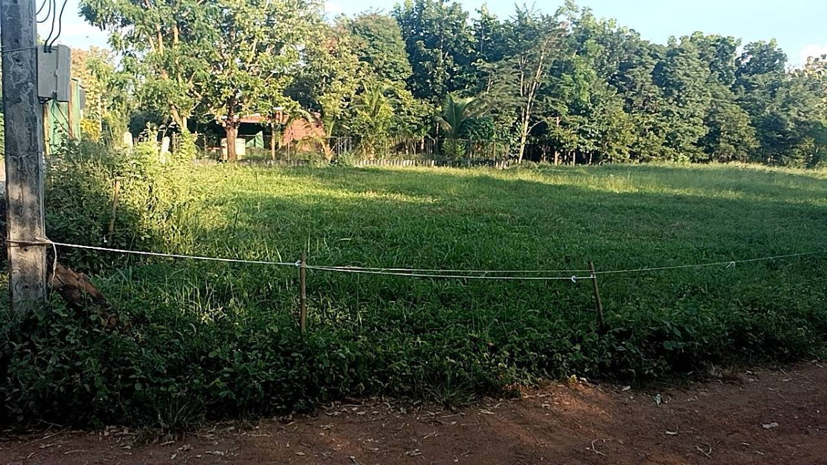 รูป **ขายที่ดินทำเลดี ตำบลหนองสว่าง อำเภอหล่มสัก จังหวัดเพชรบูรณ์** - รูปที่ 1/9