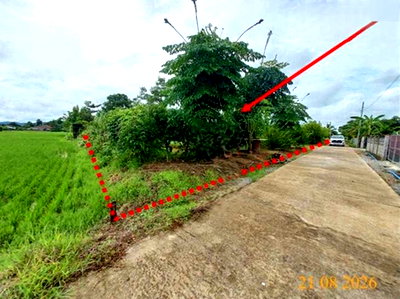 Land for sale Wiang Chai Chiang Rai : LAND 214 Sq.w. Wiang Chai Chiang Rai for 963,000