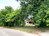listing thumbnail image 13