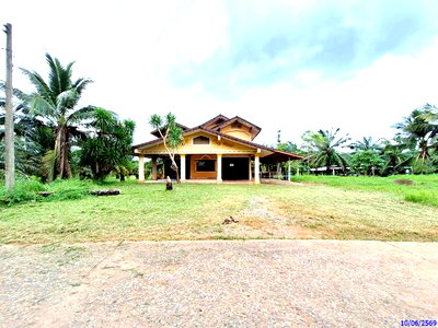 บ้านเดี่ยว ตรัง : บ้านเดี่ยว 92.3 ตร.วา วังวิเศษ ตรัง 2M